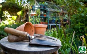 Gardening in the Sha